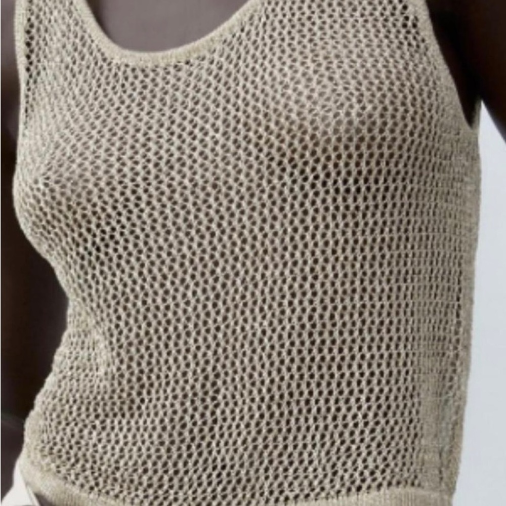 Gold Thread Mesh Zara Top